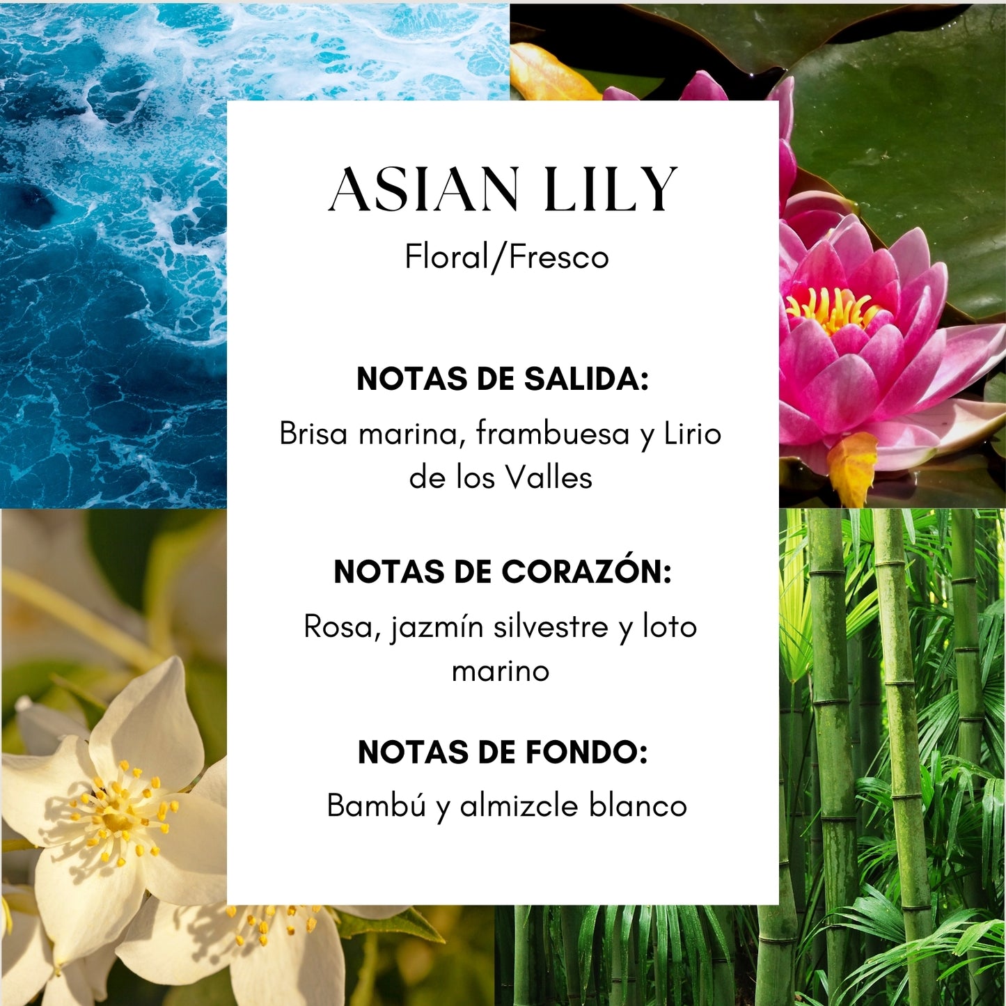 Asian Lily Fragrance Oil- Hotel Wynn Las Vegas