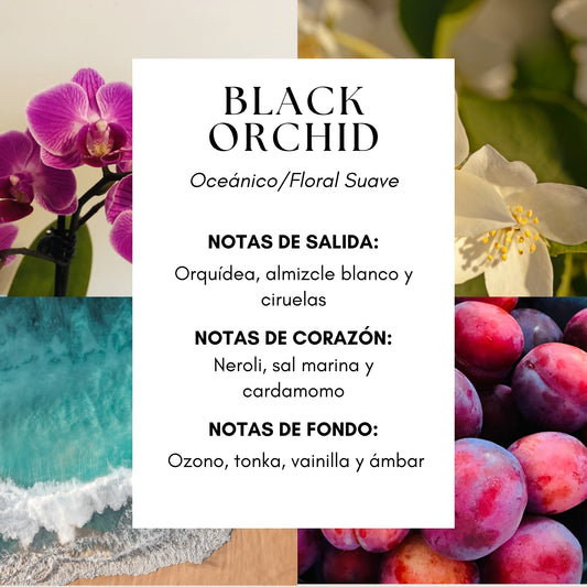 Black Orchid Classic Candle - Orquídea | Brisa de Mar | Neroli
