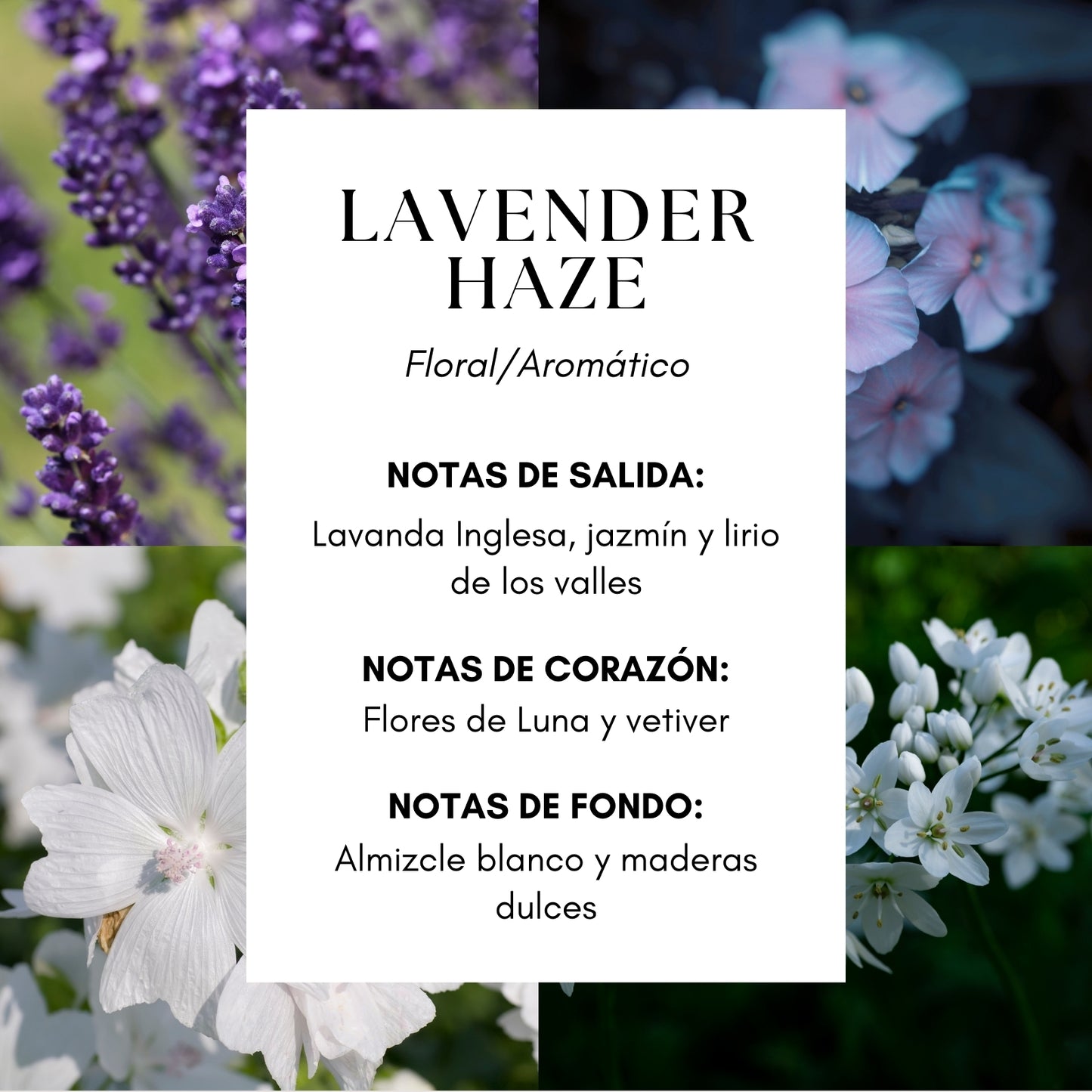 Lavender Haze Home Perfume - Lavanda | Flor de Luna | Almizcle