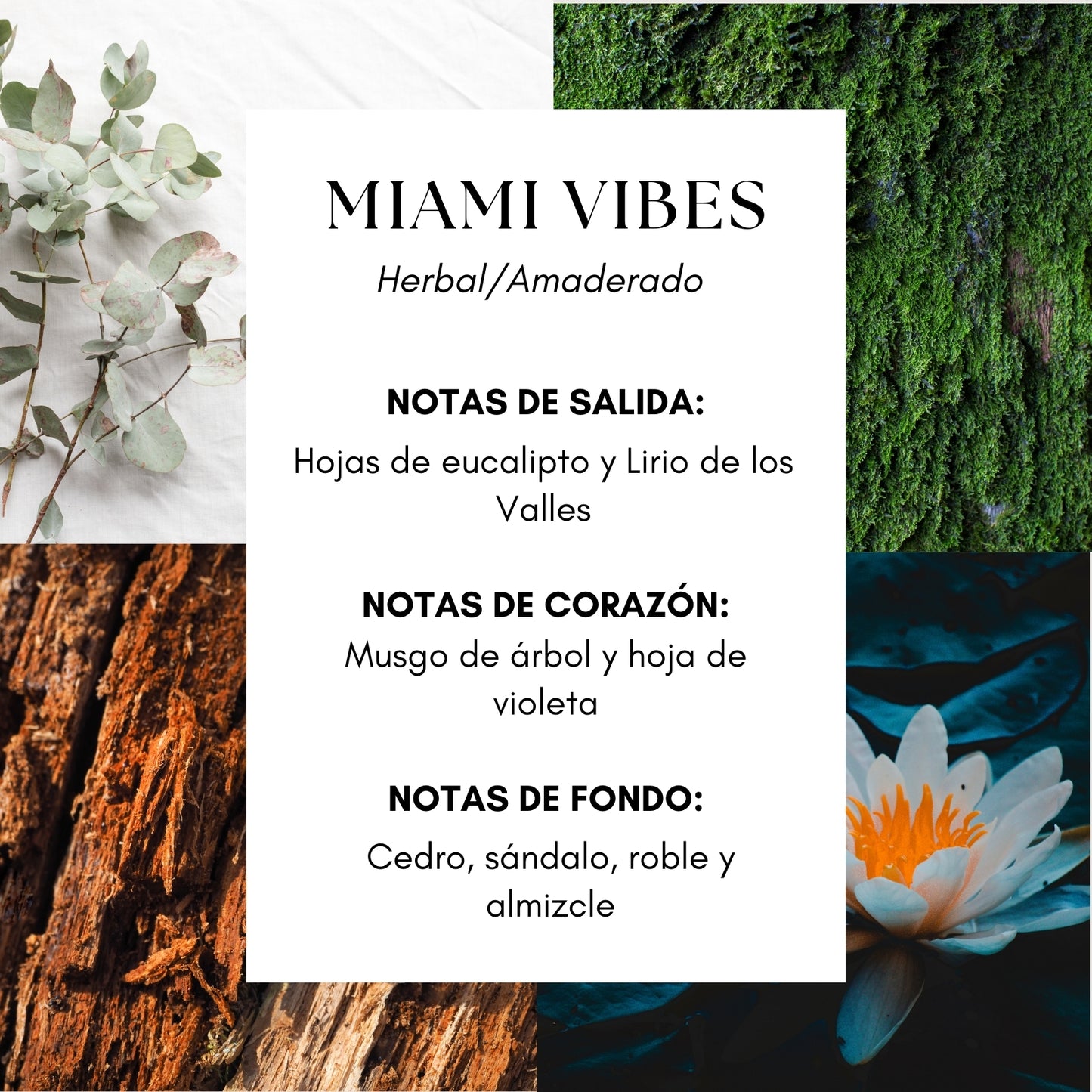 Miami Vibes Fragrance Oil- Inspirado en Hotel The One
