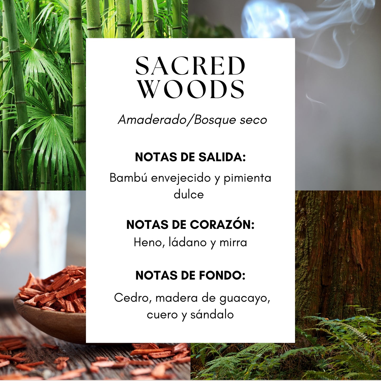 Sacred Woods Fragrance Oil- Inspirado en Tree House by Byredo