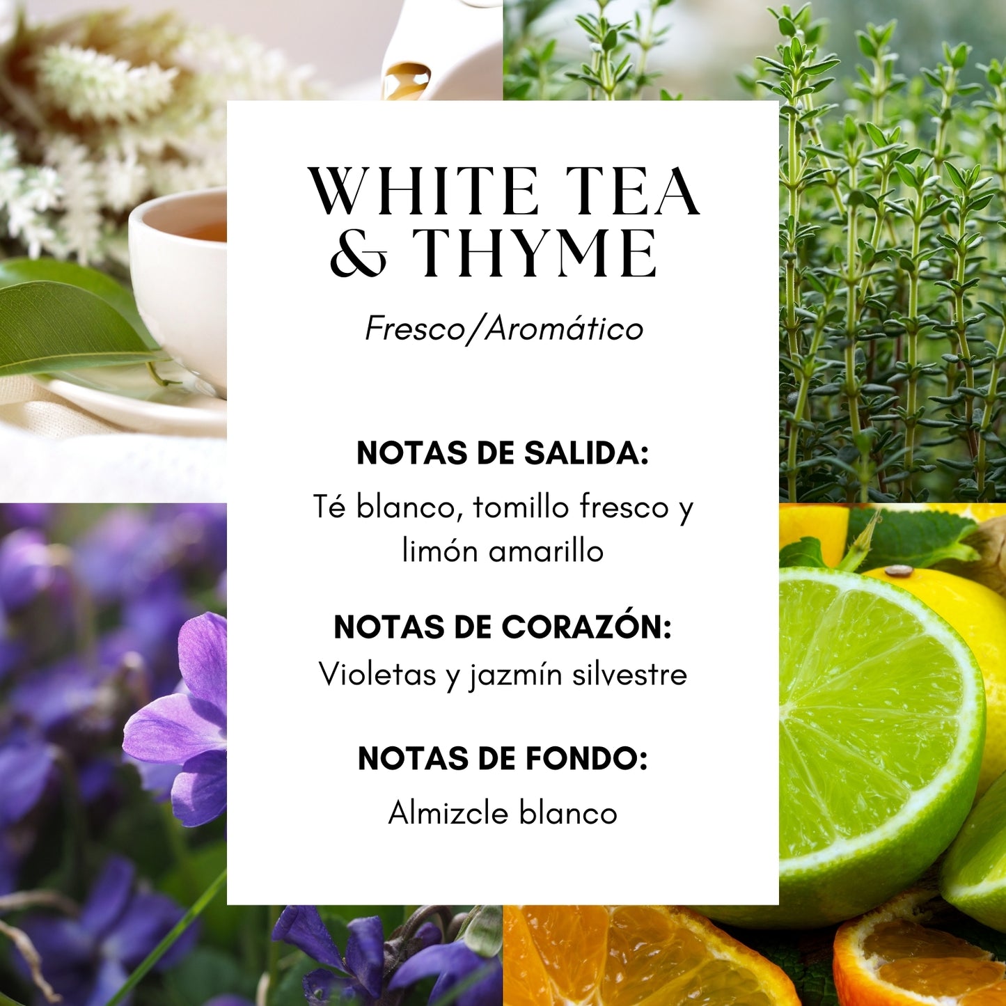 White Tea & Thyme Candle - Hotel Ritz Vienna