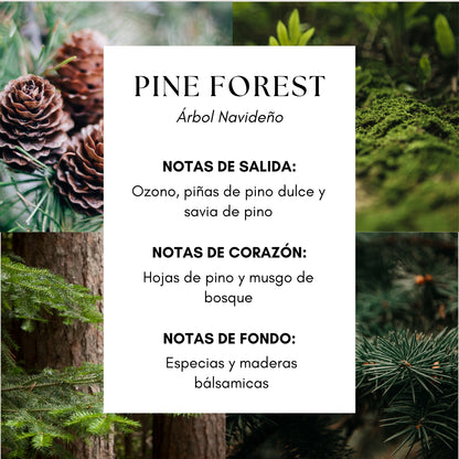 Pine Forest Home Perfume- Savia de pino|Ozono|Maderas