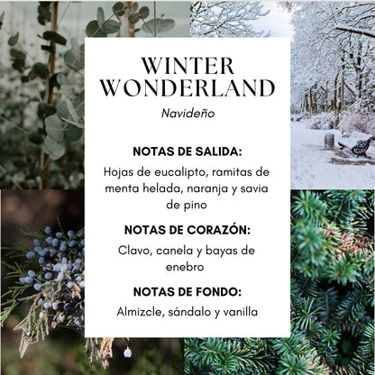 Winter Wonderland Candle - Eucalipto|Bayas|Sándalo