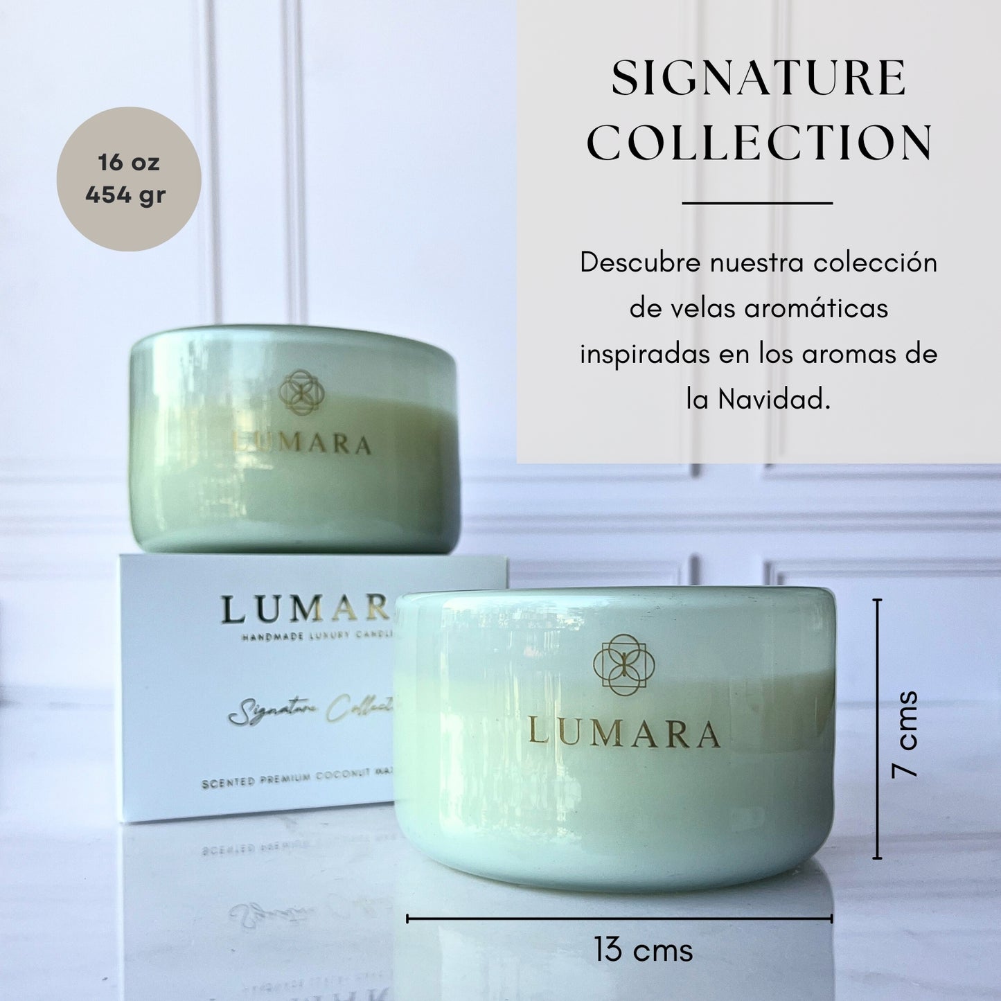 Pine Forest Candle - Savia de pino|Ozono|Maderas